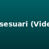 Video Accessories
